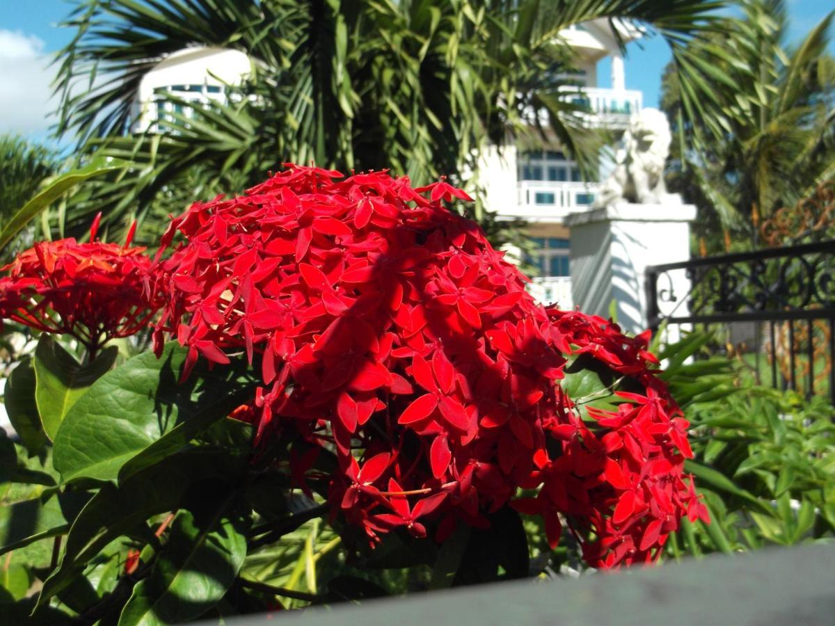 Luxor Residence Guesthouse Belle Mare Exteriör bild